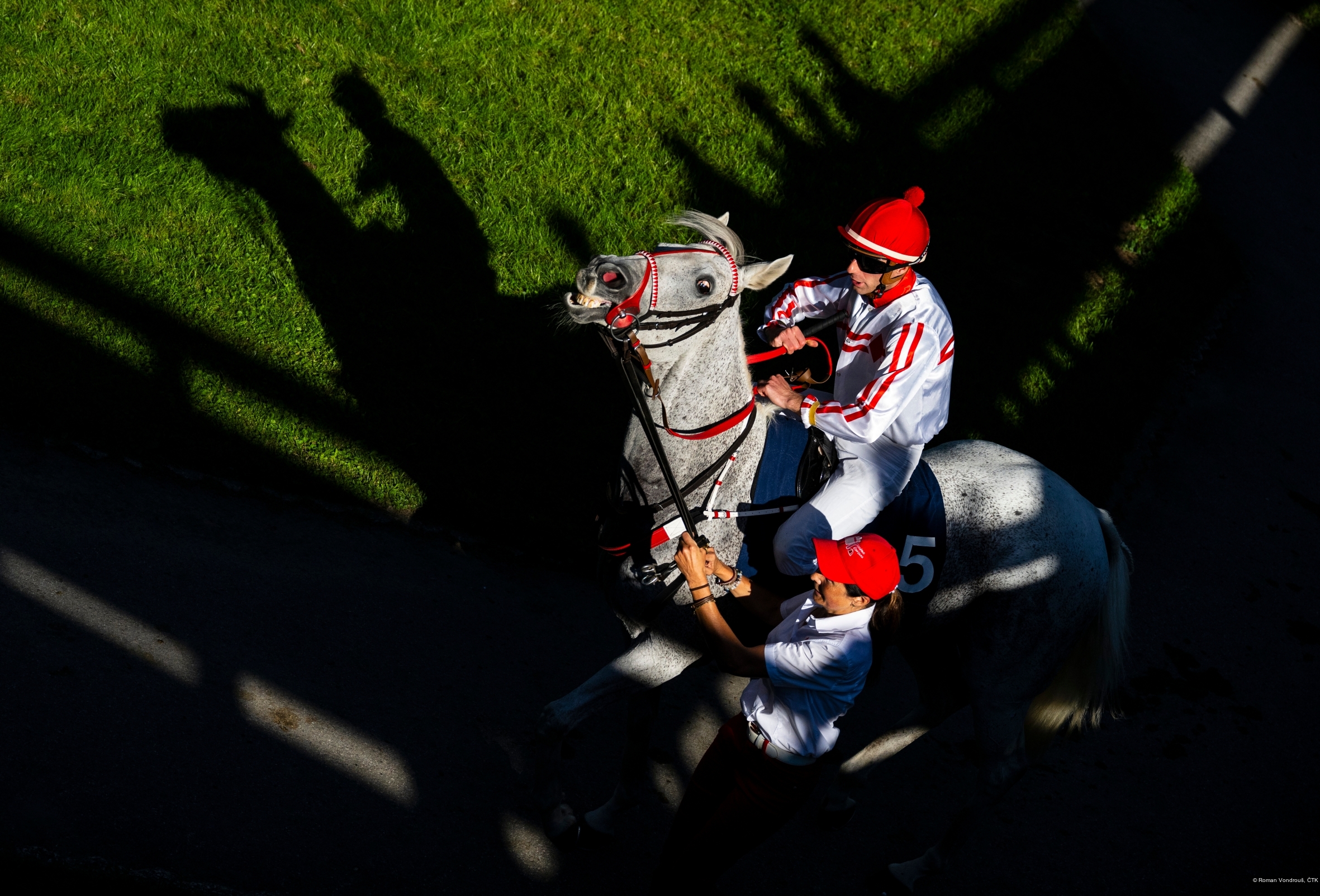 Roman Vondrouš, ČTK