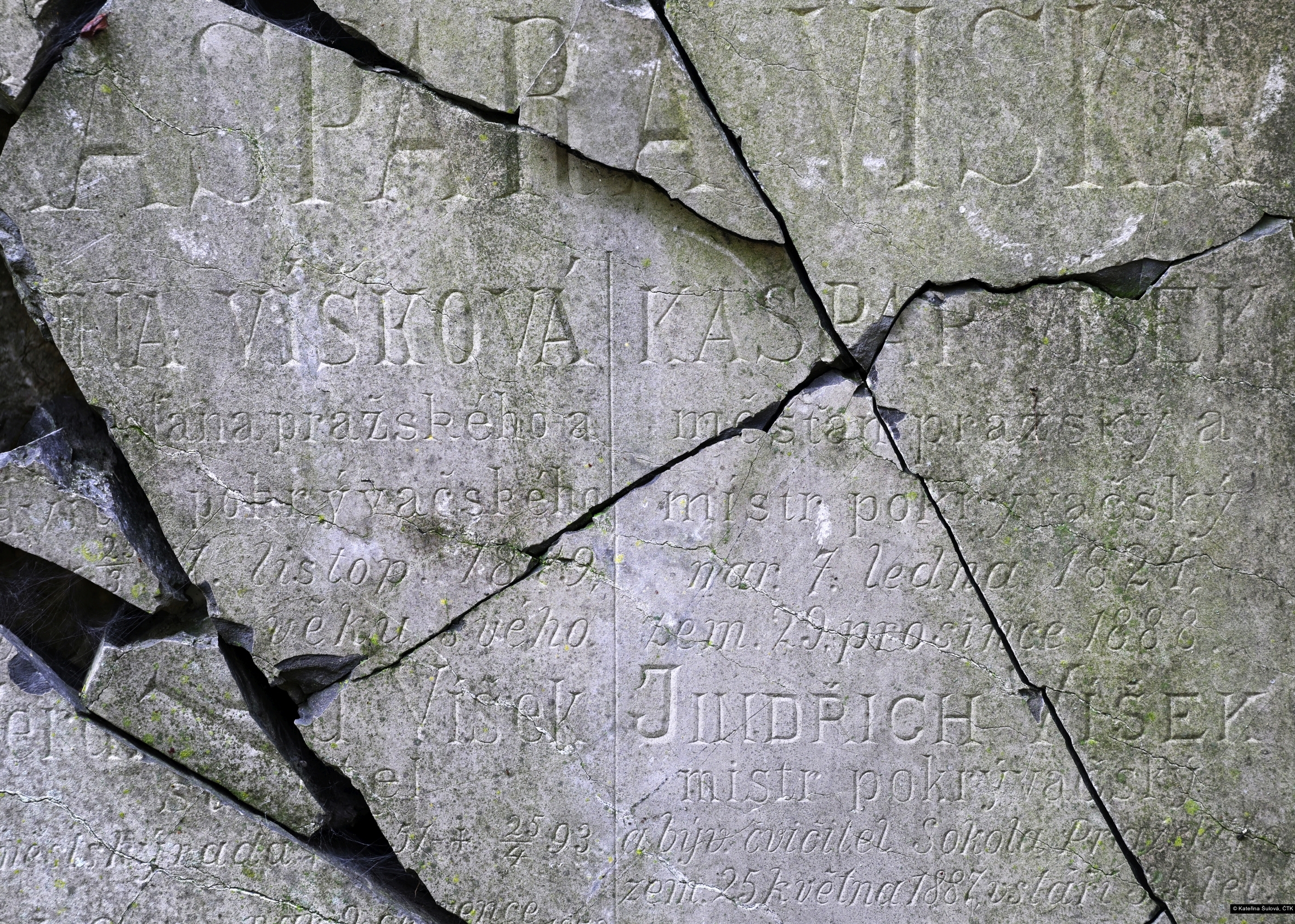 Kateřina Šulová, ČTK