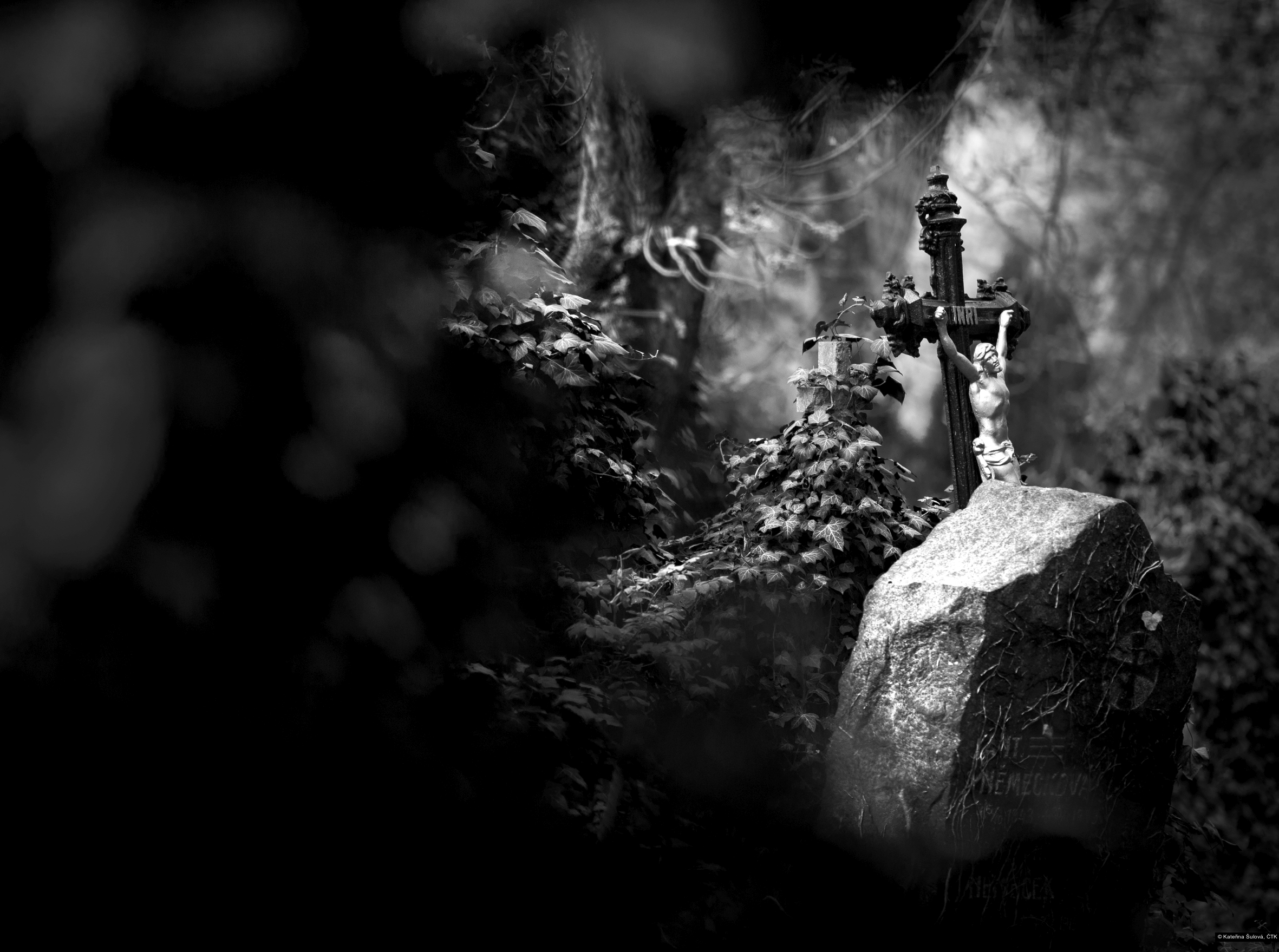 Kateřina Šulová, ČTK