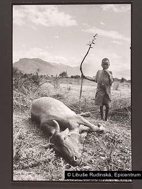 Libuše Rudinská, Epicentrum