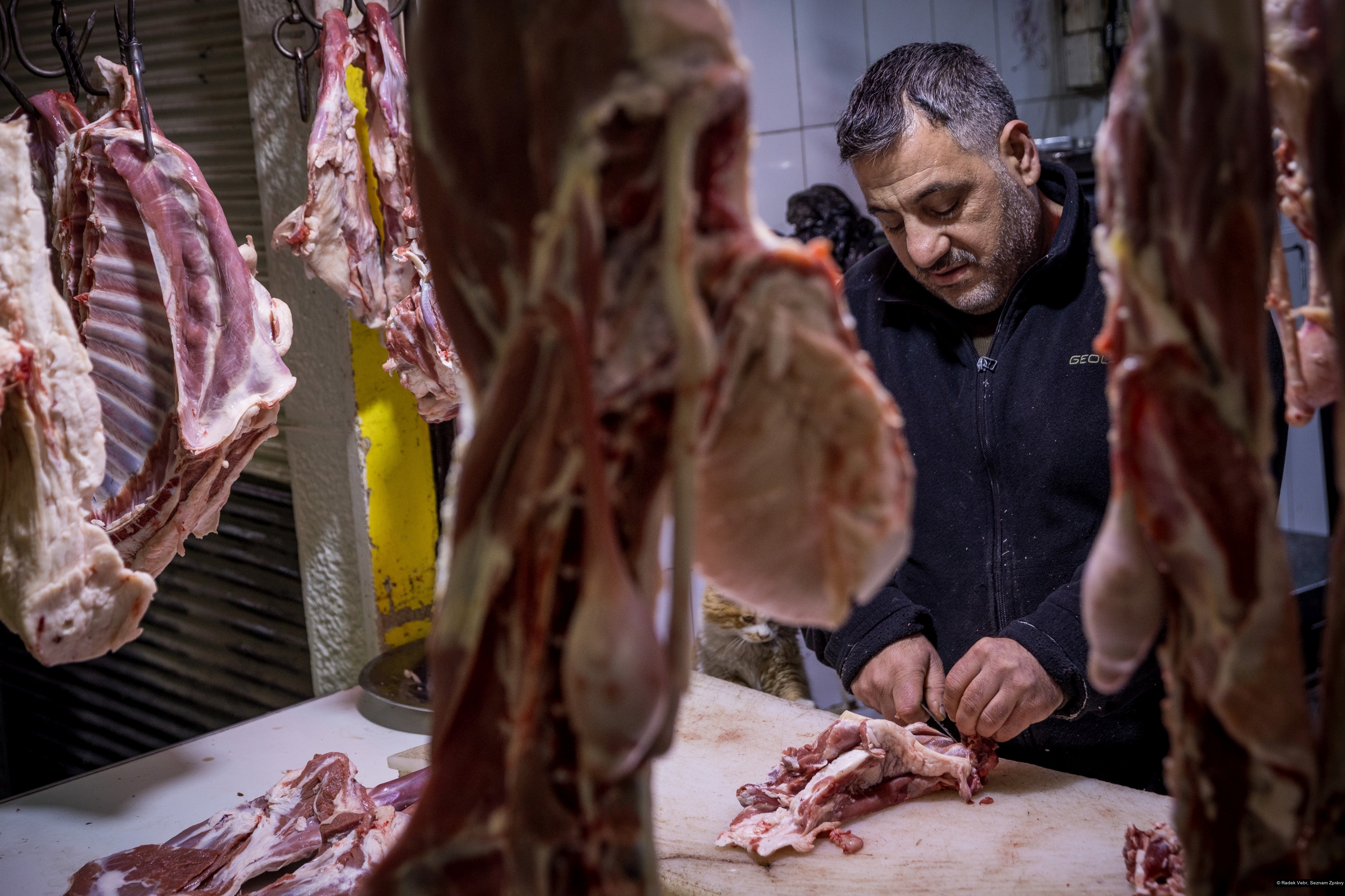 Radek Vebr, Seznam Zprávy