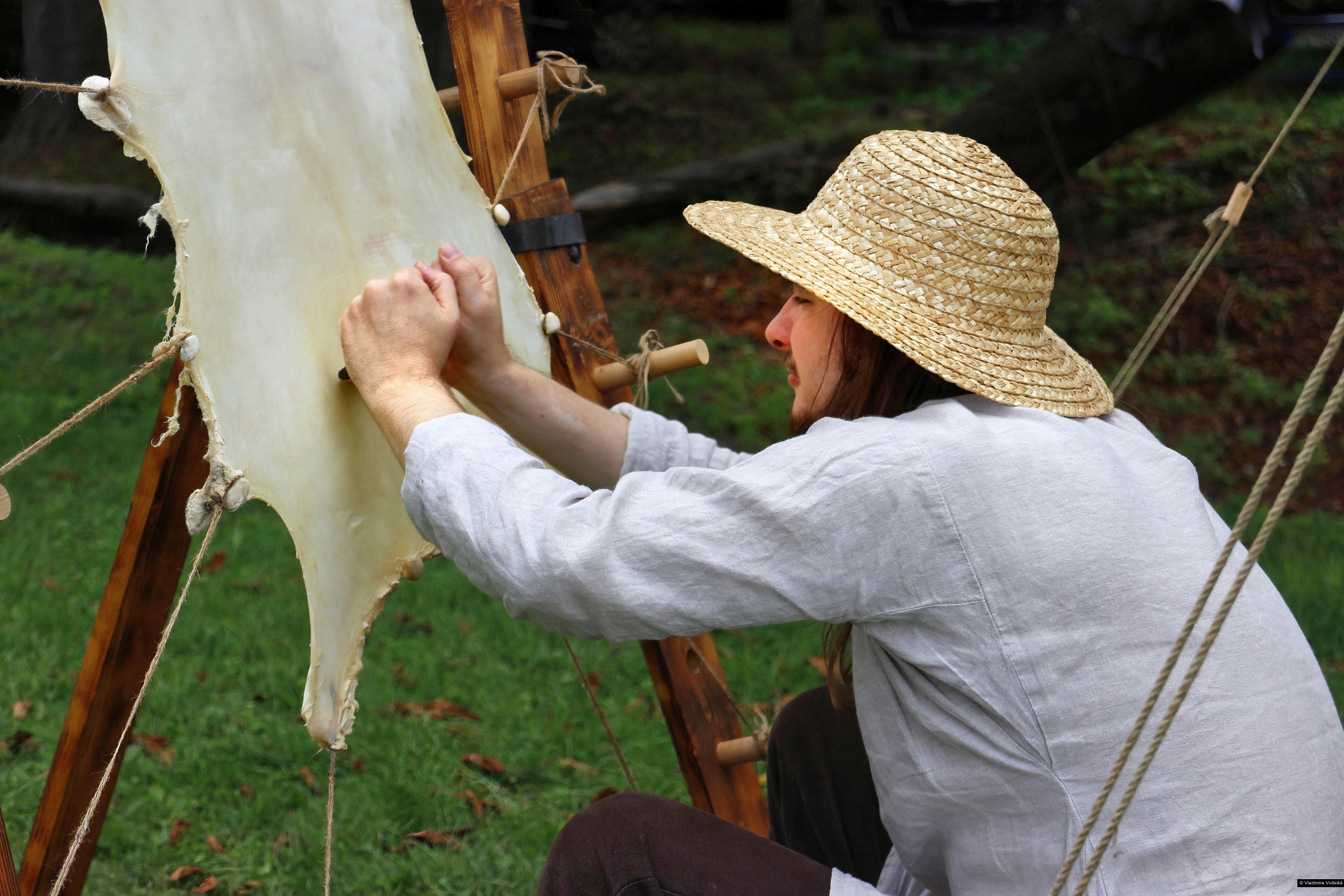 Vladimíra Vošická