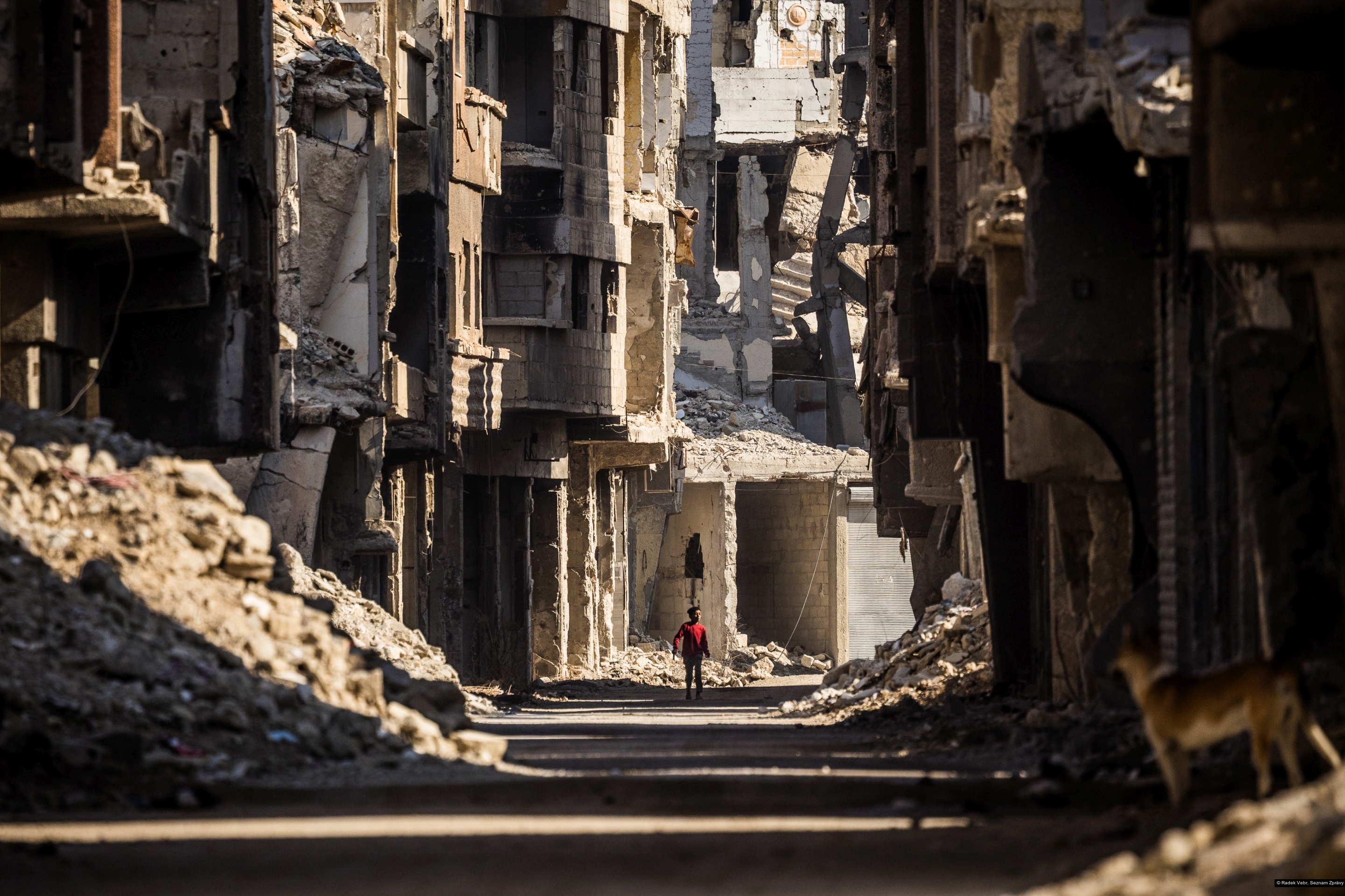 Radek Vebr, Seznam Zprávy