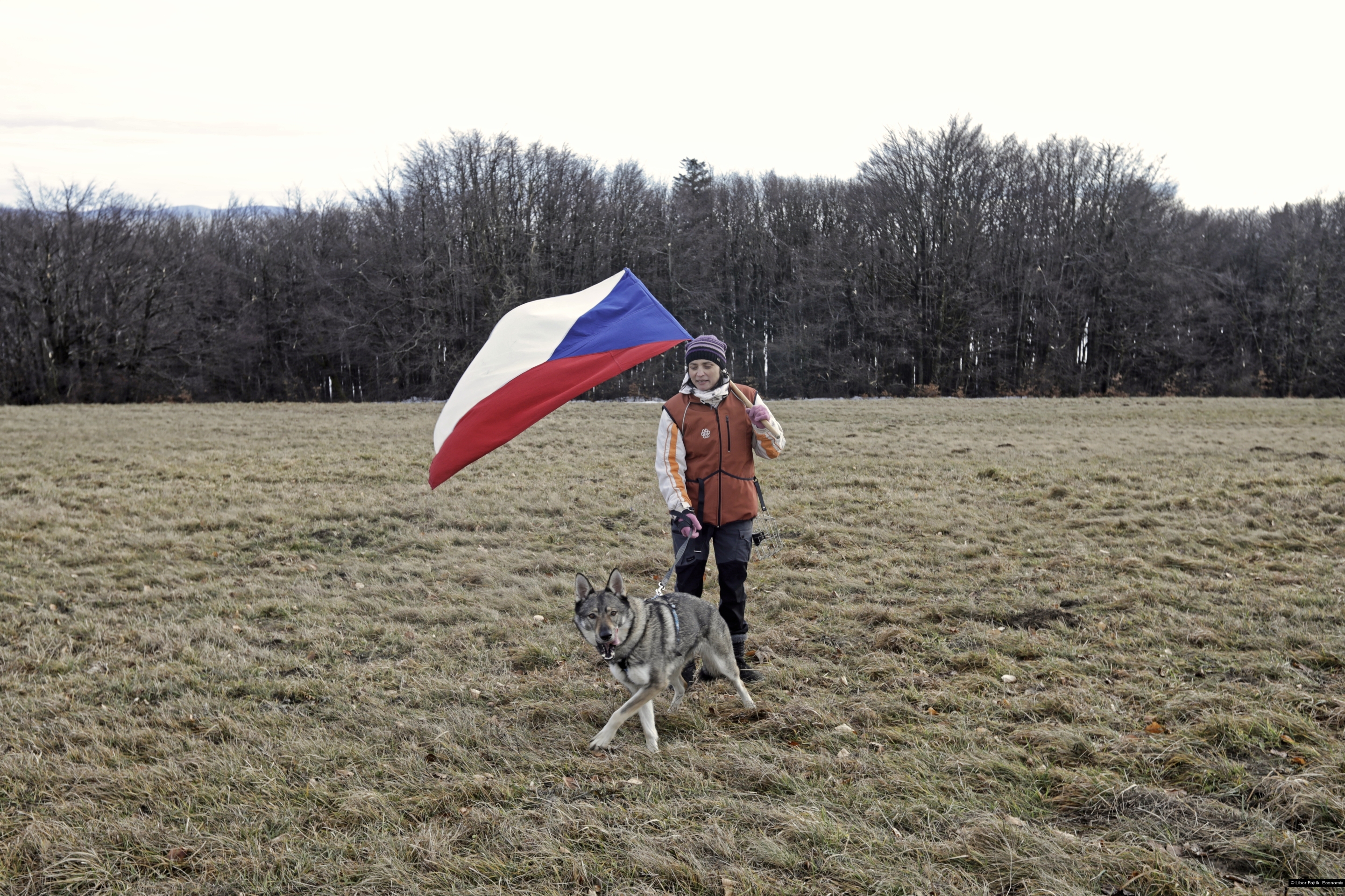 Libor Fojtík, Economia