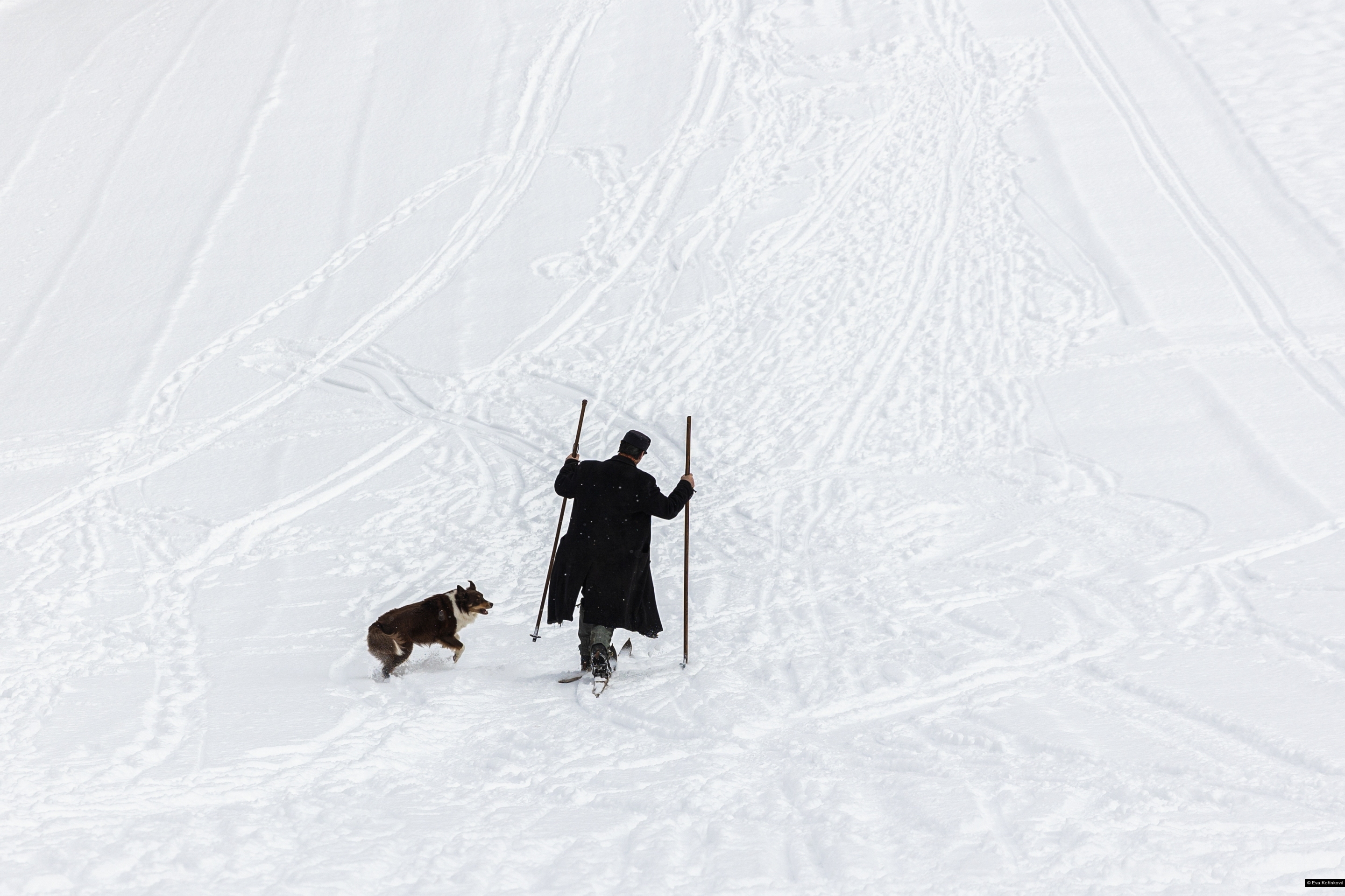 Eva Kořínková, Reuters