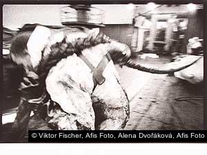 Viktor Fischer, Afis Foto, Alena Dvořáková, Afis Foto