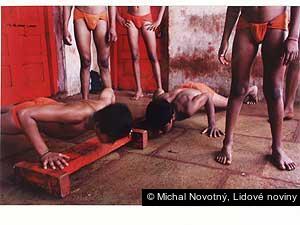 Michal Novotný, Lidové noviny