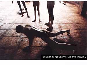 Michal Novotný, Lidové noviny