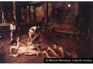 Michal Novotný, Lidové noviny