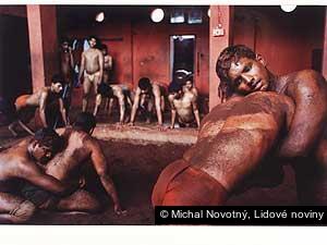 Michal Novotný, Lidové noviny