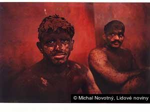 Michal Novotný, Lidové noviny