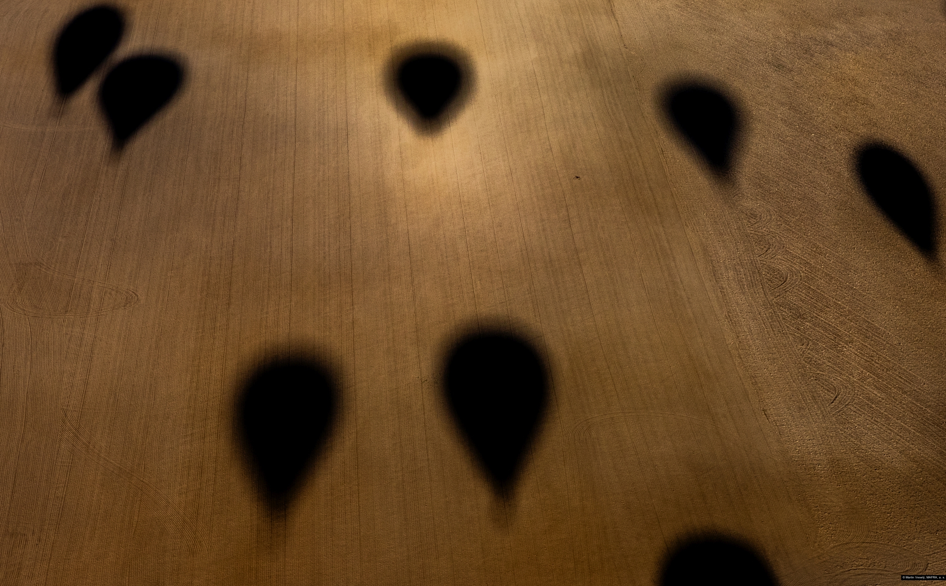 Martin Veselý, MAFRA, a. s.