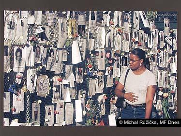 Michal Růžička, MF Dnes