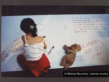 Michal Novotný, Lidové noviny
