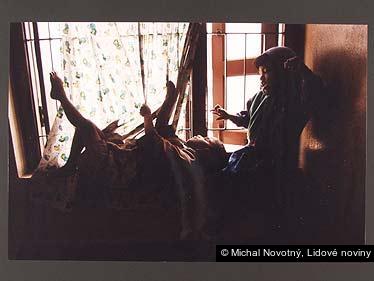 Michal Novotný, Lidové noviny