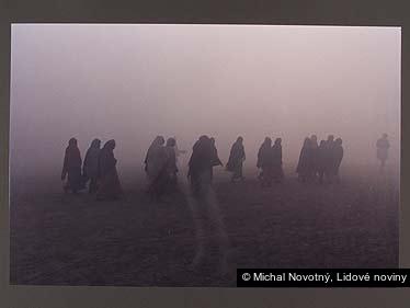 Michal Novotný, Lidové noviny