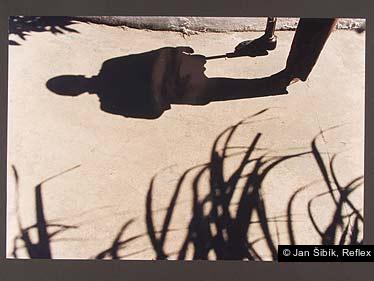 Jan Šibík, Reflex