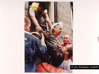 Jan Schejbal, Instinkt