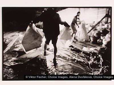 Viktor Fischer, Alena Dvořáková