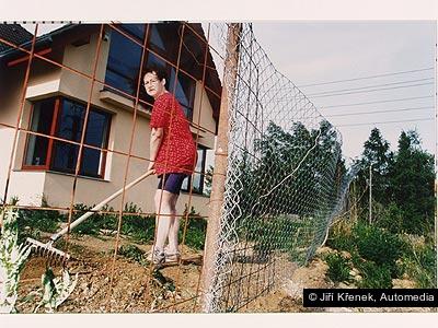 Jiří Křenek, Automedia