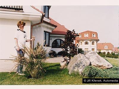 Jiří Křenek, Automedia