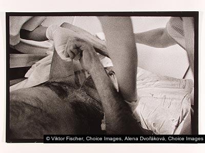 Viktor Fischer, Alena Dvořáková