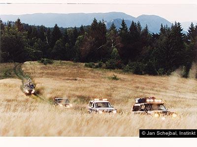 Jan Schejbal, Instinkt