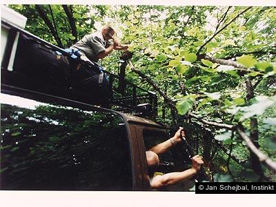 Jan Schejbal, Instinkt