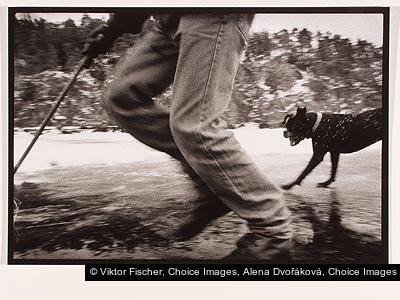 Viktor Fischer, Alena Dvořáková