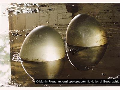 Martin Frouz, externí spolupracovník National Geographic