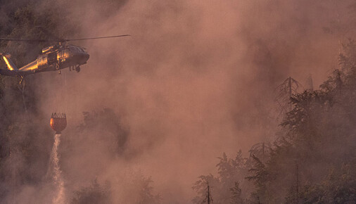 Příběh fotografie – Igor Mikula – požár v Národním parku České Švýcarsko