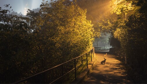 Příběhy fotografií – Michal Kvarda