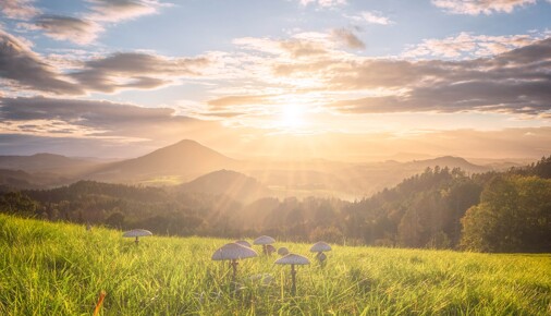 Příběhy fotografií – Filip Holič