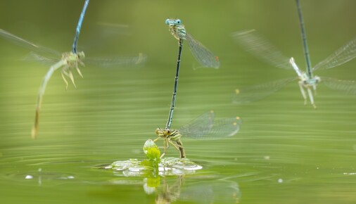 Příběhy fotografií – Alexandr Štěrba
