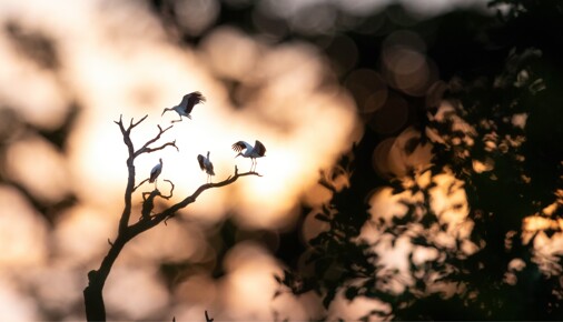 Příběhy fotografií – Jakub Hodáň