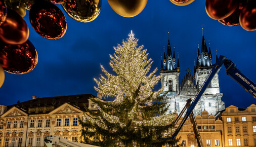 Foto měsíce listopadu 2025 – Anna Kristová – Cesta vánočního stromu