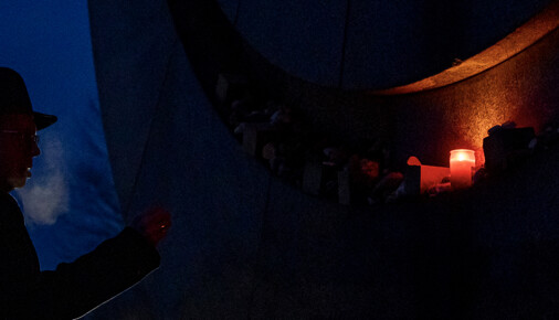 Foto měsíce ledna 2026 - Jan Handrejch - Průvod světel, pietní akce k Mezinárodnímu dni památky obětí holocaustu