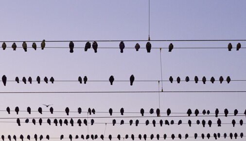 Příběh fotografie – Trakční partitura