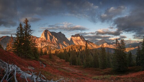 Příběh fotografie - Podzimní koberec