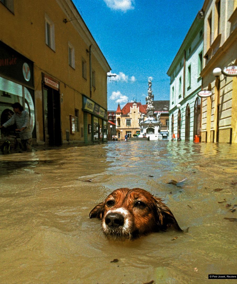 Czech Press Photo  Fotografie roku 2003