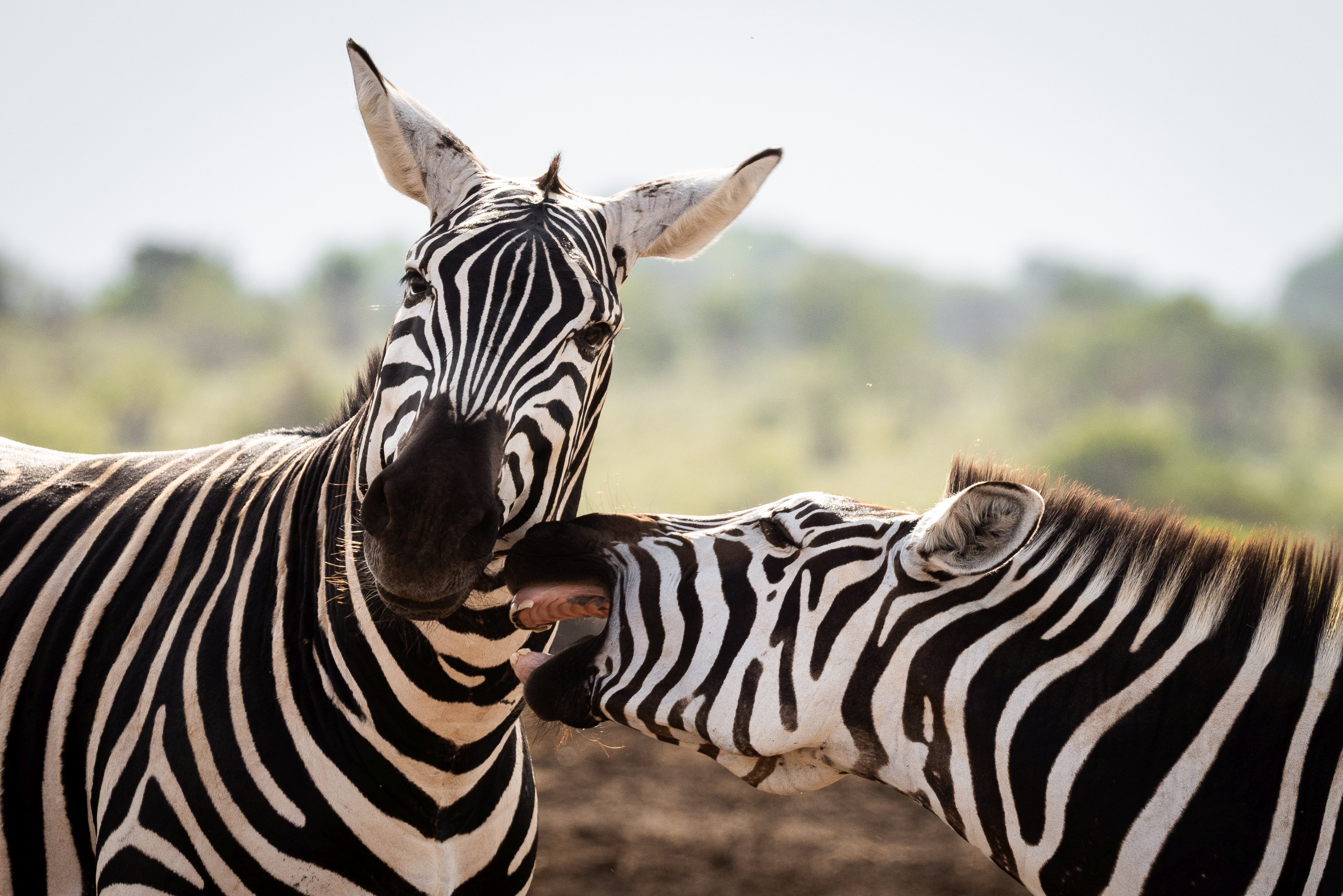 czech nature photo nominace Junior / mladší žáci - Zuzana Kučmášová