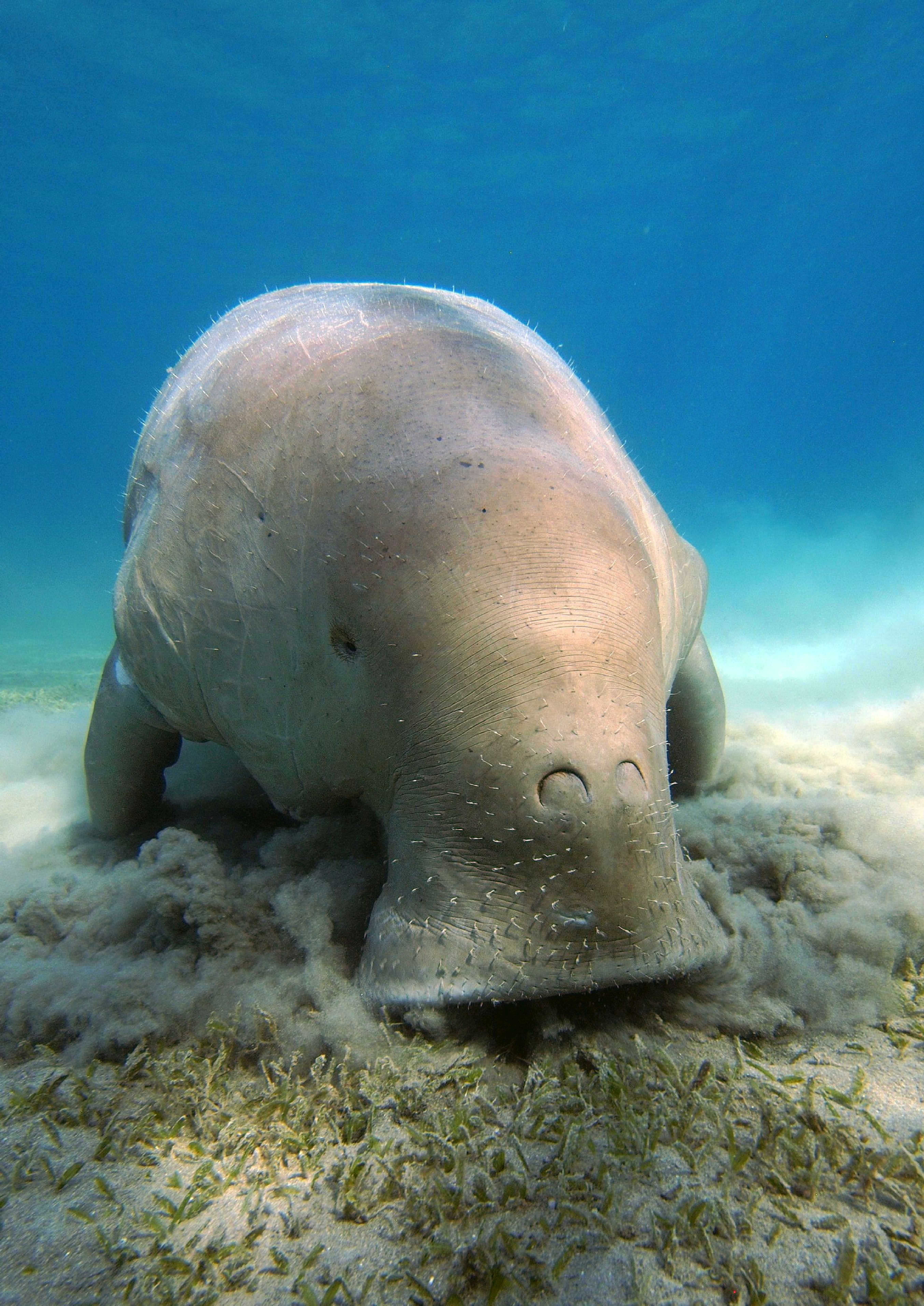czech nature photo nominace Junior / starší žáci - Marie Sládková