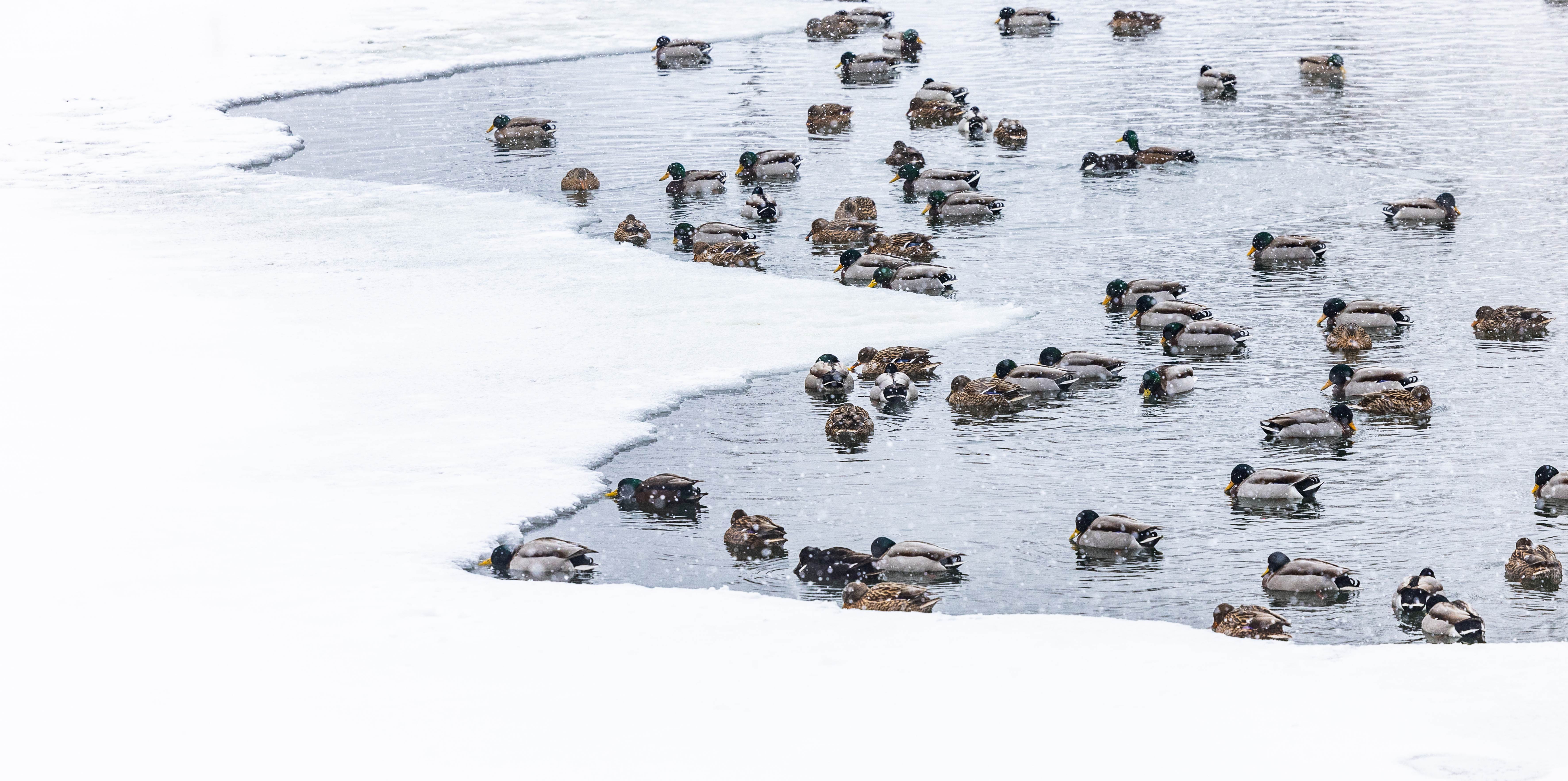 czech nature photo nominace Junior / mladší žáci - Anežka Veselá