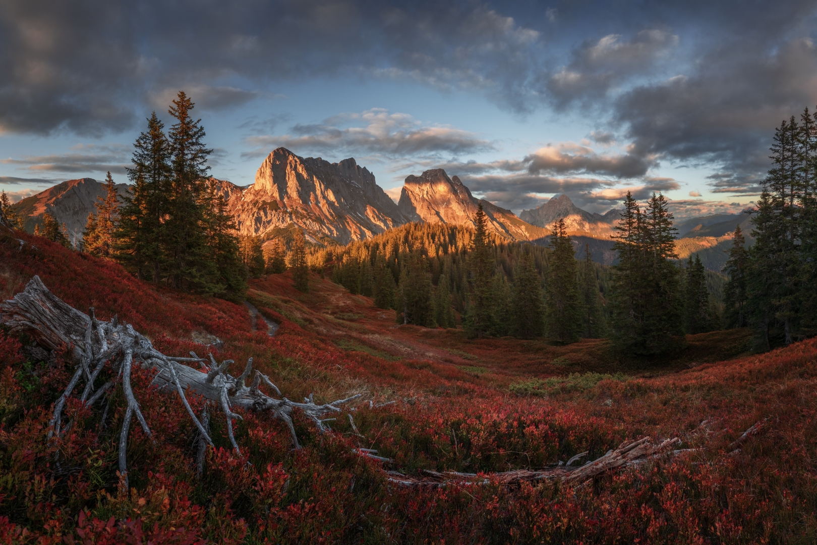czech nature photo nominace krajina – Lukáš Veselý - Podzimní koberec