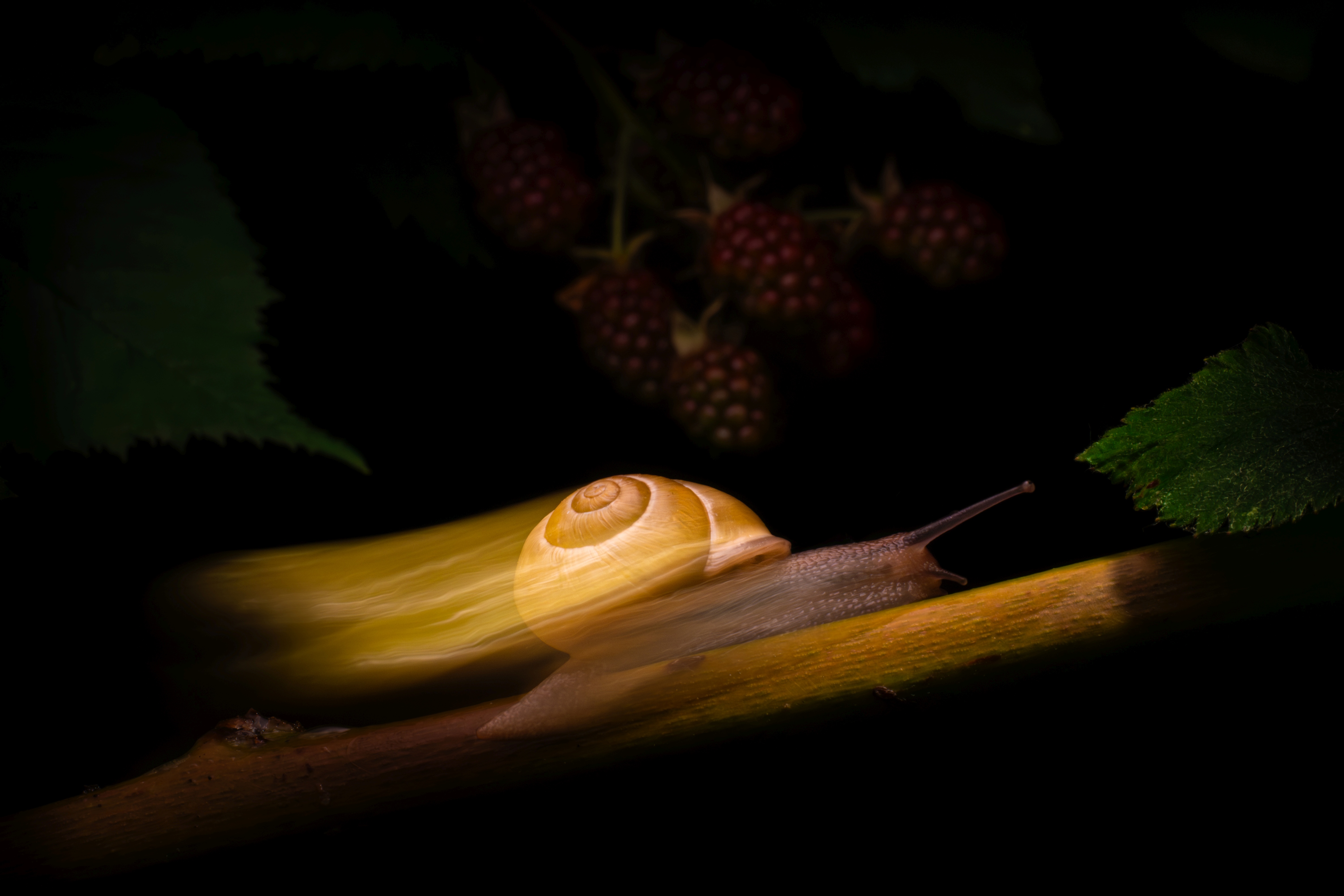 czech nature photo nominace Cena za nejlepší fotografii české přírody - Vít Lukáš - Ve spěchu