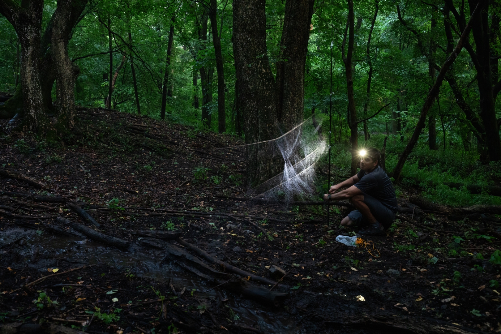 czech nature photo nominace Série
               - Jakub Hodáň