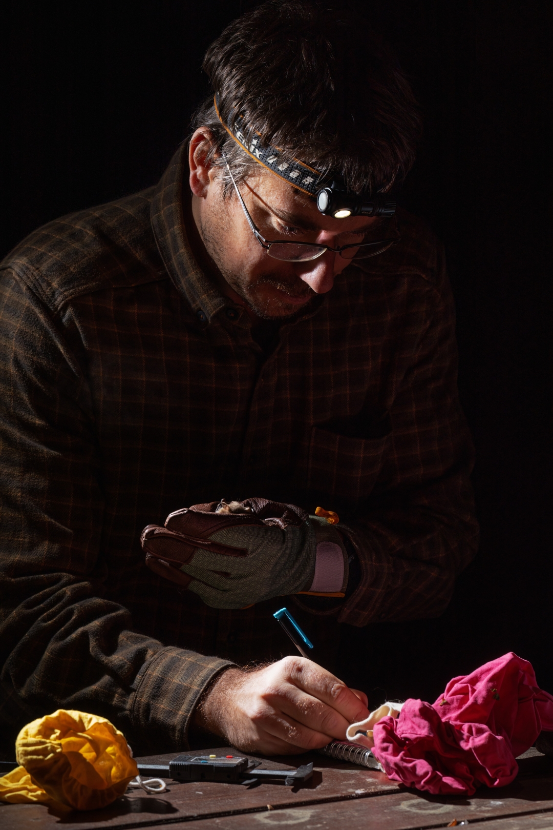 czech nature photo nominace Série
               - Jakub Hodáň