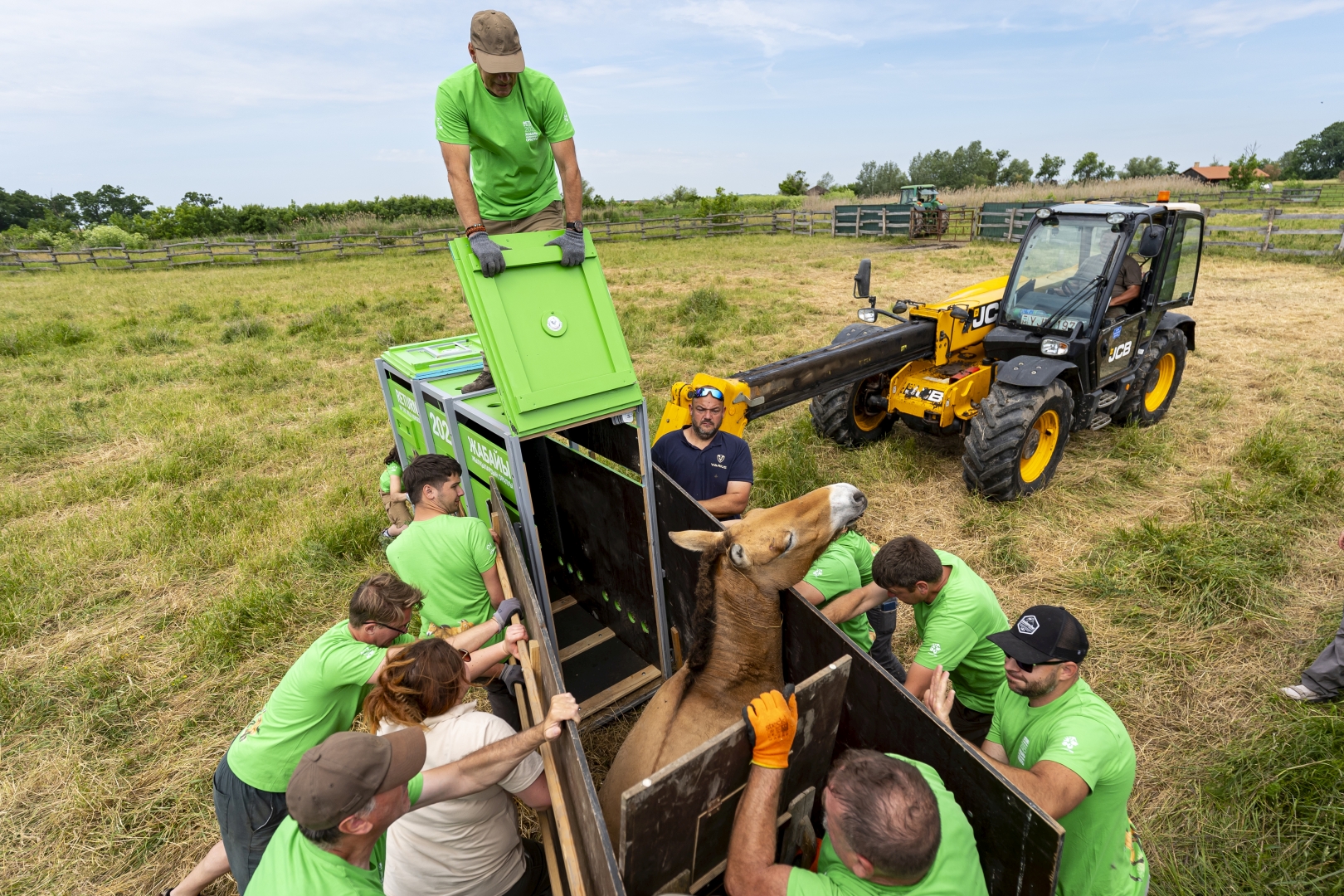 czech nature photo nominace Série
               - Jan Handrejch