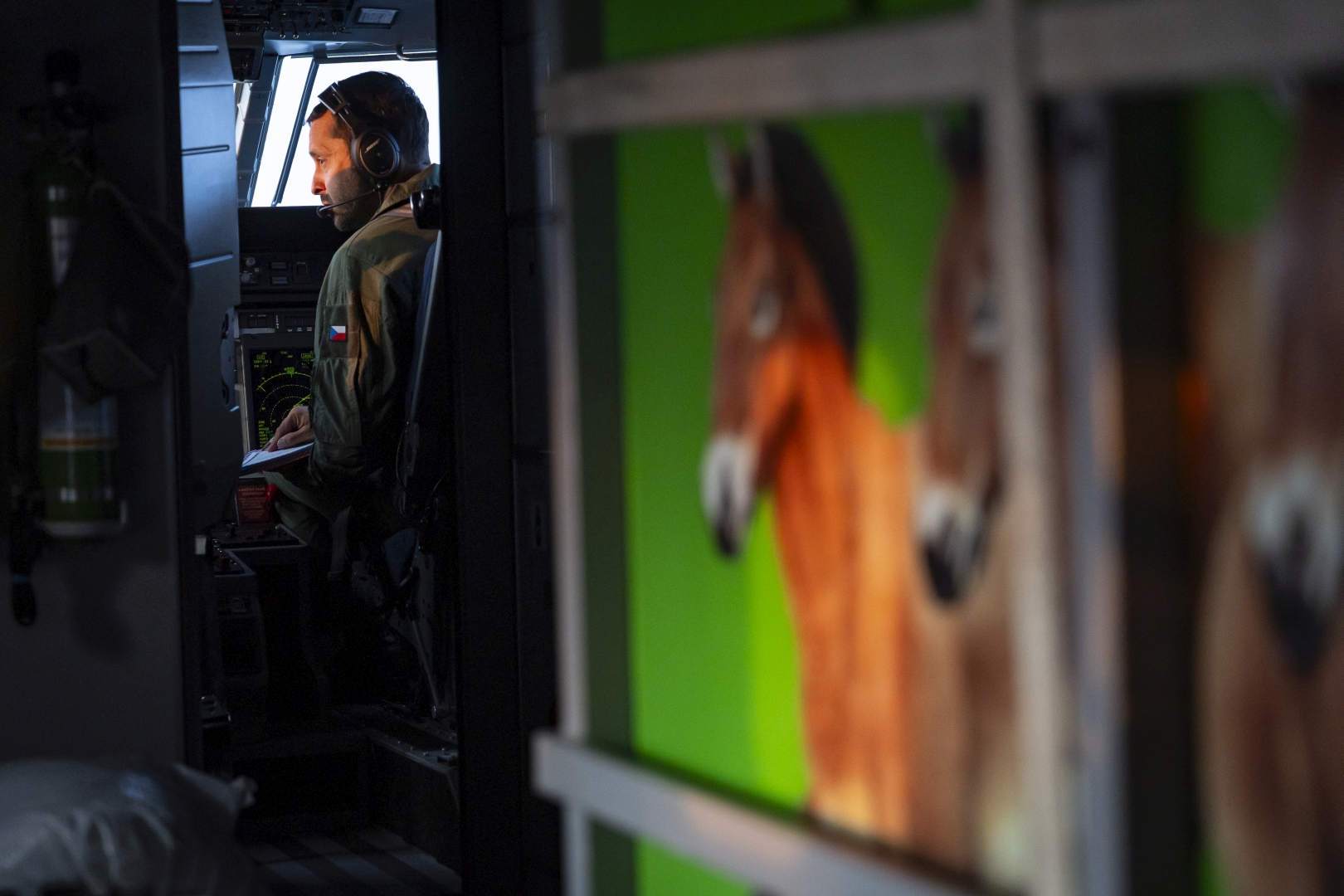 czech nature photo nominace Série
               - Jan Handrejch