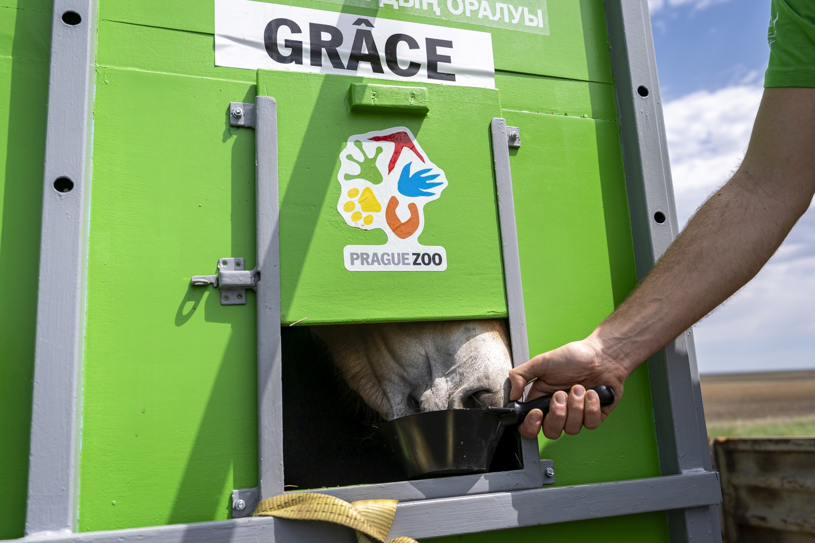 czech nature photo nominace Série
               - Jan Handrejch